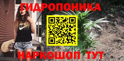 молекула духа Анжеро-Судженск
